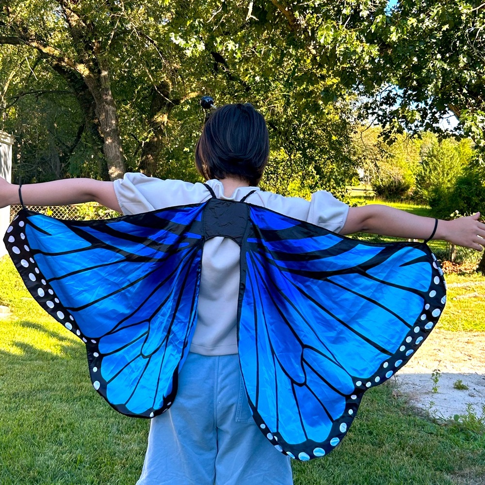 Target Blue and Black Costume Wings and butterfly headband